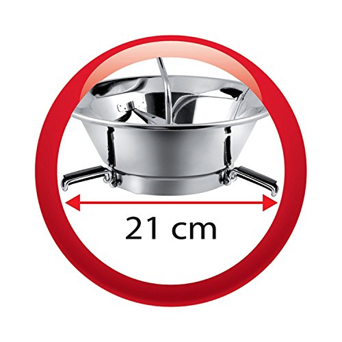 Moulinex A40106 Pasapurés con Dos Discos para ralladura de Menos a más Fina, Acero Inoxidable, 9.5x21x30 cm