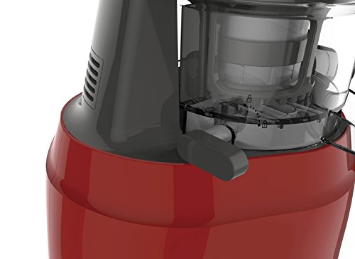 Moulinex Juice ZU150510 - Licuadora para Frutas y Verduras, Control Pulpa Ajustable, Prensado Frío y Fácil Limpieza, Panel Manual, 2 Filtros y Boquilla Antigoteo