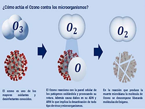 "N/A" Generador de Ozono 20.000mg/h. 220v Purificador de Aire. Desinfección de Virus, Bacterias y Malos Olores. Maquina de ozono portátil para Tiendas, oficinas, Coches, viviendas y hoteles