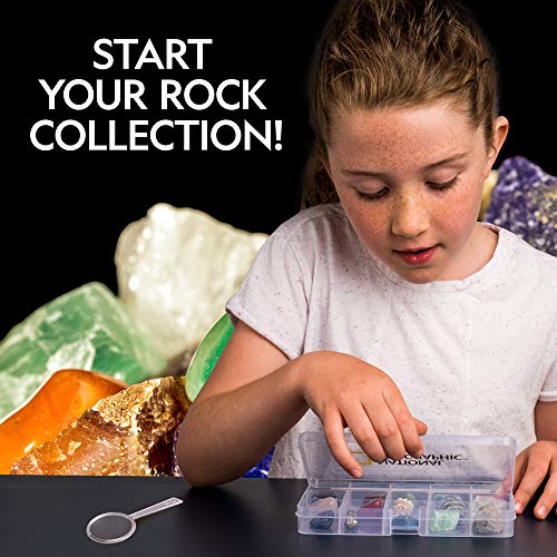 NATIONAL GEOGRAPHIC Rocks and Minerals Education Set - Kit de iniciación de 15 piezas con ojo de tigre, cuarzo rosa, jaspe rojo y más, vitrina y guía de identificación