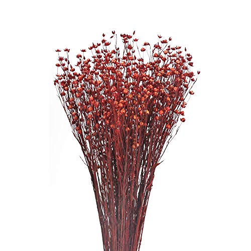 NAUHUAA Ramo de Flores Secas Flores Artificiales Roja Flor de Acacia Seca Natural Flor Familiar Restaurante Cafetería Decoración Flor Falsa