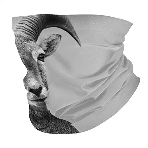 New*design Arte abstracto Collage Big Horn Ovejas Belleza Cara Bufanda Cubierta Deporte al aire libre Correr Mujeres Hombres Cubierta facial Variedad Cara Toalla Cuello Diadema