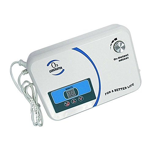 newtry 300 en el hogar Generador de Ozono oxígeno activo lavadora máquina de desintoxicación de frutas y verduras esterilizador de aire purificador de agua 110 V/220 V (110 V)