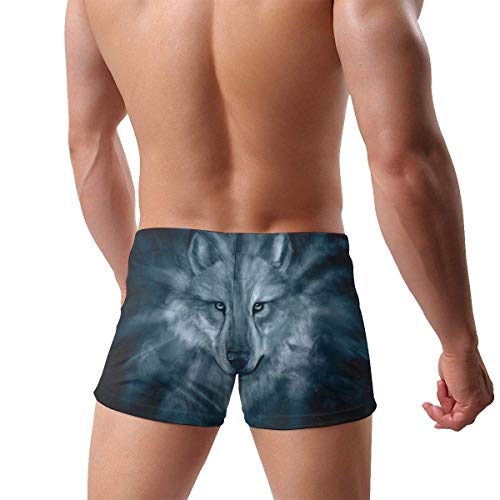 NHNH Trajes de baño para Hombres Bañador de árbol Lagarto Arcón Boxer Breves Trajes de baño de Secado rápido Pantalones Cortos de Junta