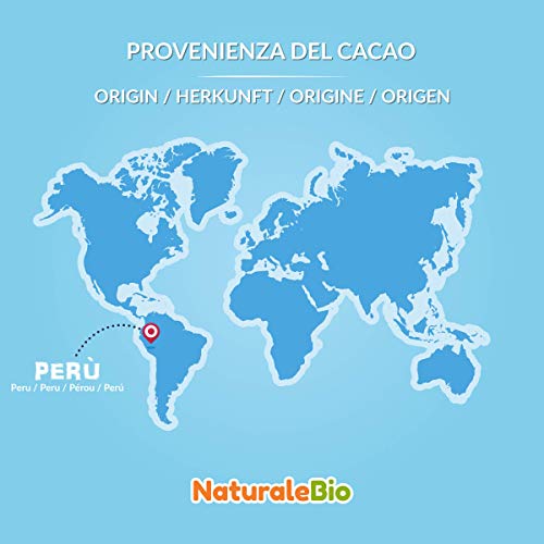 Nibs de Cacao Crudo Ecológico 1 kg. 100% Puntas de Cacao Bio, Natural y Puro. Cultivado en Perú a partir de la planta Theobroma cacao. Fuente de magnesio, potasio y hierro. NaturaleBio