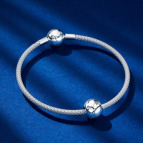 NINGAN Leo Encantos del Cumpleaños de 12 Signos del Zodiaco - Encantos de Plata Esterlina de 925 Ajustan Pulsera & Collar de - Regalos de cumpleaños Ideales para Mujeres y Amigos