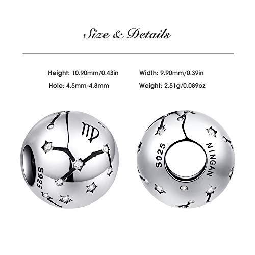 NINGAN Leo Encantos del Cumpleaños de 12 Signos del Zodiaco - Encantos de Plata Esterlina de 925 Ajustan Pulsera & Collar de - Regalos de cumpleaños Ideales para Mujeres y Amigos