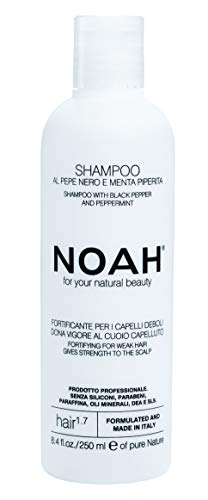 Noé 1,7 débil pelo champú con negro pimienta y menta 250 ml