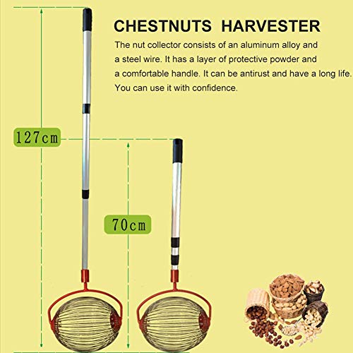 Nueces / Castañas / avellanas Cosechadora Recogedora de rodillos de jardín, Cesta de metal para recolector de frutas, Cosechadora Pluma de aleación de aluminio retráctil Para uso en huertos familiares