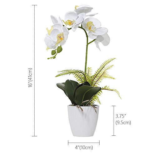 Olrla Blanca phalaenopsis Artificial orquídea Bonsai con cerámica Partido Boda del florero jardín decoración del hogar (Blanco 1)
