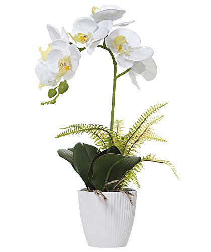 Olrla Blanca phalaenopsis Artificial orquídea Bonsai con cerámica Partido Boda del florero jardín decoración del hogar (Blanco 1)