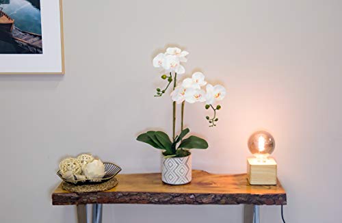 Orquidea Artificial, Altura 65 cm, Phalaenopsis, Maceta de Cerámica, Ideal para Decoración de Hogar, Tacto Natural (Orquídea 5)