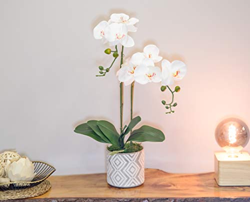 Orquidea Artificial, Altura 65 cm, Phalaenopsis, Maceta de Cerámica, Ideal para Decoración de Hogar, Tacto Natural (Orquídea 5)