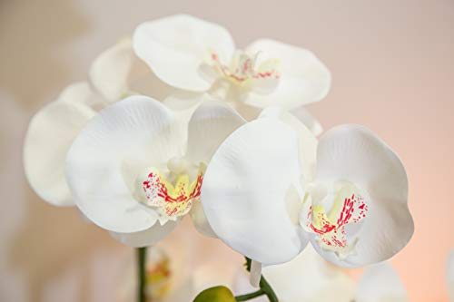 Orquidea Artificial, Altura 65 cm, Phalaenopsis, Maceta de Cerámica, Ideal para Decoración de Hogar, Tacto Natural (Orquídea 5)