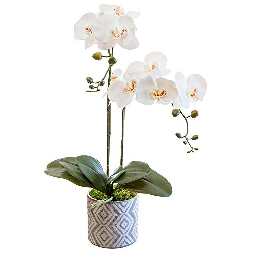 Orquidea Artificial, Altura 65 cm, Phalaenopsis, Maceta de Cerámica, Ideal para Decoración de Hogar, Tacto Natural (Orquídea 5)