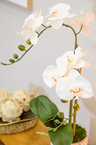 Orquidea Artificial, Altura 65 cm, Phalaenopsis, Maceta de Cerámica, Ideal para Decoración de Hogar, Tacto Natural (Orquídea 5)