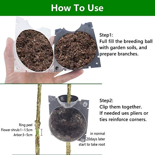 O'woda Dispositivo de Enraizamiento de Plantas Reutilizable, 12 cm Bola Rápida de Crecimiento de Las Raíces, Propagación de la Vaina de Rosas, Árboles, Arbustos (3 Piezas, Translúcido)