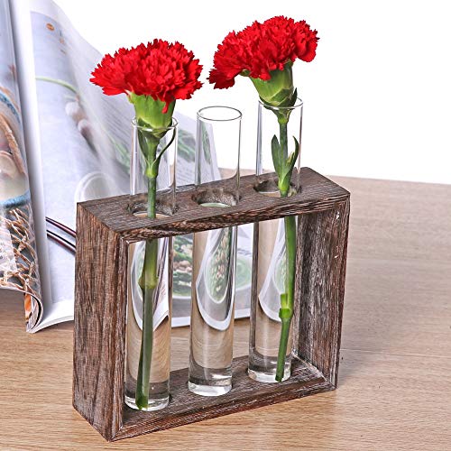 PAKASEPT Jarrón de Cristal de ensayo de Madera, Soporte para Tubos de ensayo o decoración de Mesa, Tubo de Ensayo Hidropónico con Marco de Madera de 3 Agujeros Florero Jarrón de Vidrio Decorativo