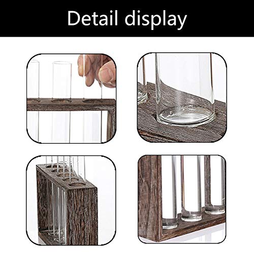 PAKASEPT Jarrón de Cristal de ensayo de Madera, Soporte para Tubos de ensayo o decoración de Mesa, Tubo de Ensayo Hidropónico con Marco de Madera de 3 Agujeros Florero Jarrón de Vidrio Decorativo