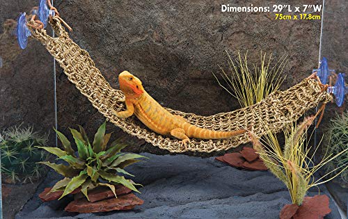 Penn-Plax Lagarto Tumbona, 100% Fibras de Junco Marino Natural para Anoles, Bearded Dragons, Geckos, Iguanas, y ermitaño Crabs Rectangular 7 x 29 cm