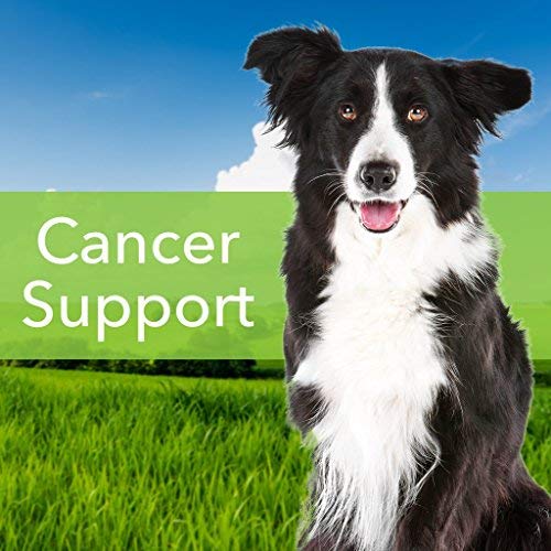 Pet Wellbeing - La Vida De Oro para Perros - Ayuda del Cáncer Natural para Perros - 2 Onzas 59 Mililitros
