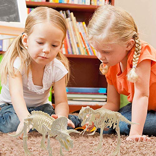 Powerking Fósil de Dinosaurio,Excavar y Descubrir Dinosaurio jurásico para niños,Rompecabezas Huesos Educativo Arqueología Fósil Esqueleto(Triceratops)