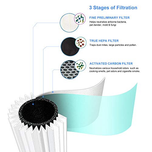 QUEENTY Purificador de Aire para Oficina con Filtro HEPA y Carbón Activado, Purificador de Aire para Hogar con Iones Negativos, Capturar Alergias, Polen, Humo, Olor y Caspas de Mascota