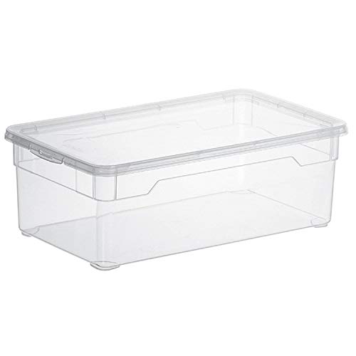 Rotho Clear, Juego de 4 cajas de almacenamiento de 5l con tapa, Plástico PP sin BPA, transparente, 4 x 5l 33.0 x 19.0 x 24.0 cm