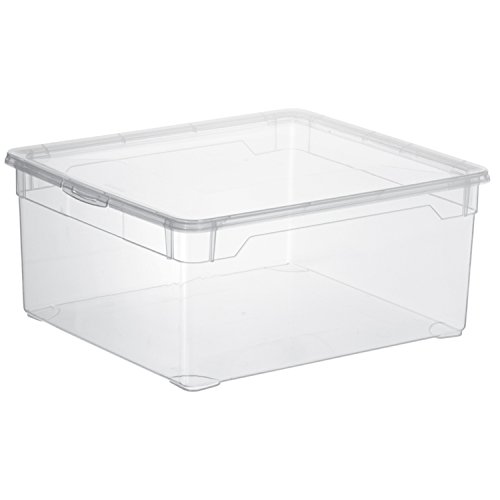 Rotho Clear, Juego de 4 cajas de almacenamiento de 5l con tapa, Plástico PP sin BPA, transparente, 4 x 5l 33.0 x 19.0 x 24.0 cm