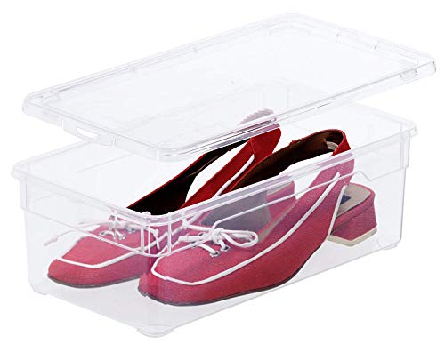 Rotho Clear, Juego de 4 cajas de almacenamiento de 5l con tapa, Plástico PP sin BPA, transparente, 4 x 5l 33.0 x 19.0 x 24.0 cm