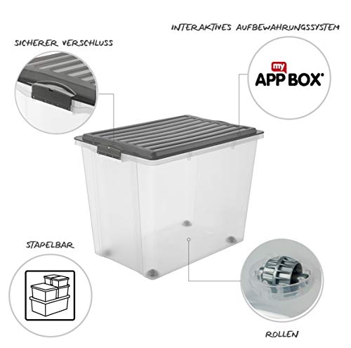 Rotho Compact, Caja de almacenamiento 70l con tapa y ruedas, Plástico PP sin BPA, gris, transparente, A3, 70l 57.0 x 39.5 x 43.5 cm