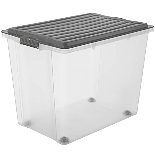 Rotho Compact, Caja de almacenamiento 70l con tapa y ruedas, Plástico PP sin BPA, gris, transparente, A3, 70l 57.0 x 39.5 x 43.5 cm