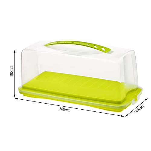 Rotho Fresh, Recipiente para pasteles con capucha y asa de transporte, Plástico PP sin BPA, verde, transparente, 36.0 x 16.5 x 16.5 cm