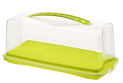 Rotho Fresh, Recipiente para pasteles con capucha y asa de transporte, Plástico PP sin BPA, verde, transparente, 36.0 x 16.5 x 16.5 cm
