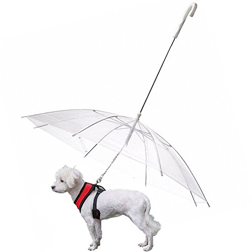 S-Lifeeling - Paraguas plegable para perros con correa, para nieve y lluvia, transparente, se adapta a la espalda de la mascota de hasta 50,8 cm