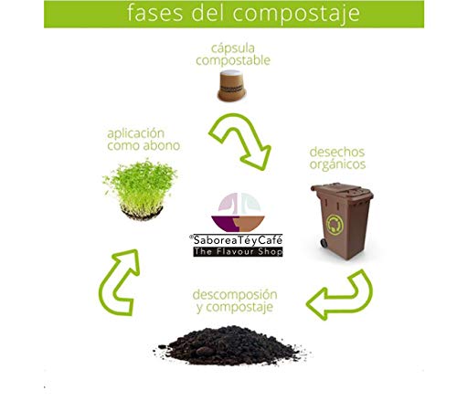 SABOREATE Y CAFE THE FLAVOUR SHOP - Cápsulas de Café Intenso - Compostables y Biodegradables - 50 unidades