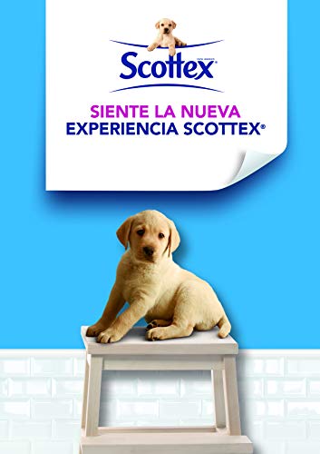 Scottex Original Papel Higiénico - 96 Rollos