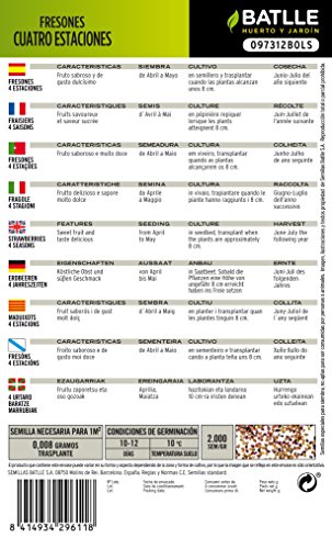 Semillas Hortícolas - Fresones 4 estaciones - Batlle
