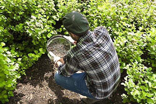 Siebmeister 5000, 5en1 tamiz de jardín, 5 mallas metálicas intercambiables Ø 3,5,8,10,12 mm fino, para suelos, piedras, compost, malezas, arena, grava y semillas, 30 cm de diámetro, acero inoxidable