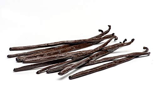 Slofoodgroup Frijoles de vainilla de Madagascar bourbon 5 cada