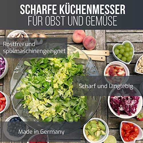 Solingen - Juego de 4 cuchillos para verduras, aptos para lavavajillas, rectos y curvados, inoxidable, fabricado en Alemania
