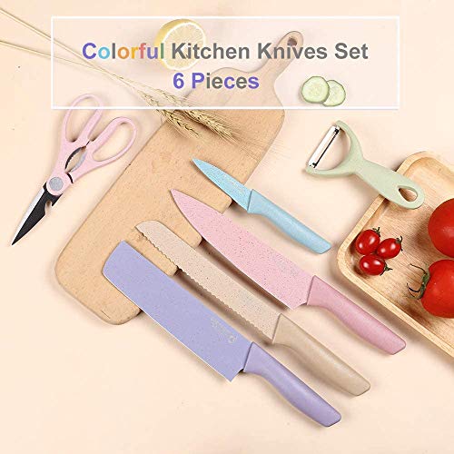 SP-Cow 6 Piezas Juego de Cuchillos de Cocina, 5X Cuchillos de Acero Inoxidable y 1x Cuchillo pelador de Verduras de cerámica,Acero Inoxidable Duro, Equipado con Mango Cómodo,en Diversos Colores