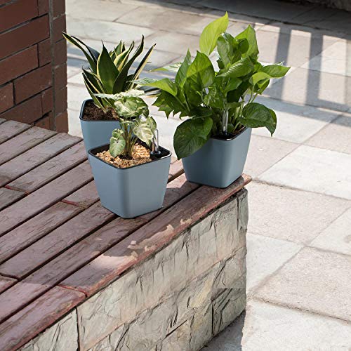 T4U 13CM Auto Riego Plantador Azul Cuadrada Paquete de 3, Maceta para Interiores al Aire Libre Jardines de Windowsill Planta Decorativa para Flores Hierbas