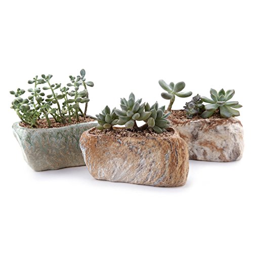 T4U Conjunto de 3 Forma de Piedra distintiva Cerámicos Planta Maceta Suculento Cactus Planta Maceta Planta Contenedor Vivero Maceta Macetas de jardín Macetas Envase