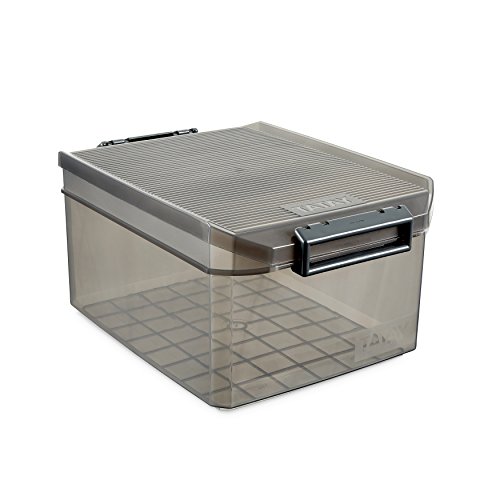 TATAY 1150114 - Caja de Almacenamiento Multiusos con Tapa, 14 l de Capacidad, Plástico Polipropileno Libre de BPA, Marrón Translúcido, 27 x 39 x 19 cm