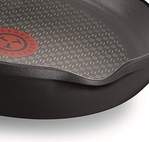 Tefal Aroma - Sartén de aluminio fundido de 26 cm recubrimiento de titanio antiadherente y thermosport, aptas para todo tipo de cocinas incluido inducción