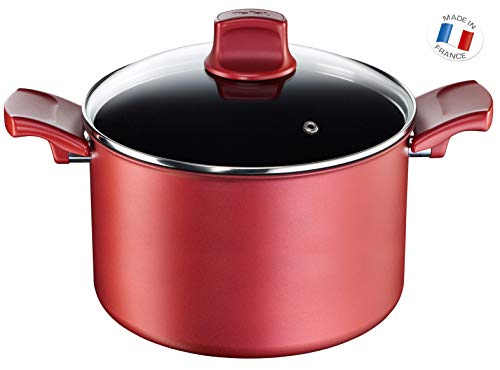 Tefal c6824602 GV5 Character Olla Titanium Rojo 37,20 x 26,5 x 15 cm