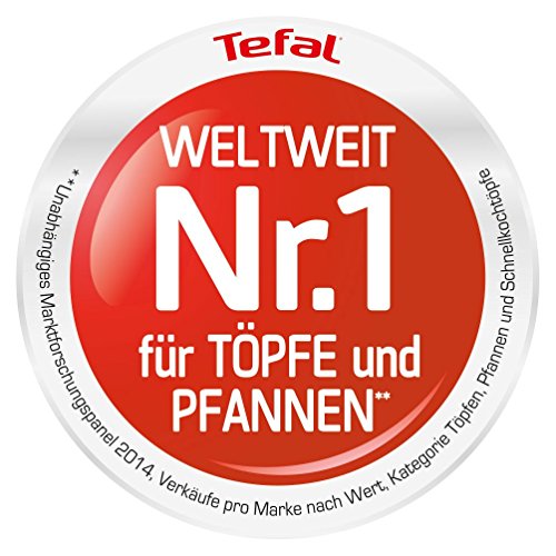 Tefal E4400485 Sartén Talent Pro E44004, 24 Cm, Titanium Excellence, Metal, Negro