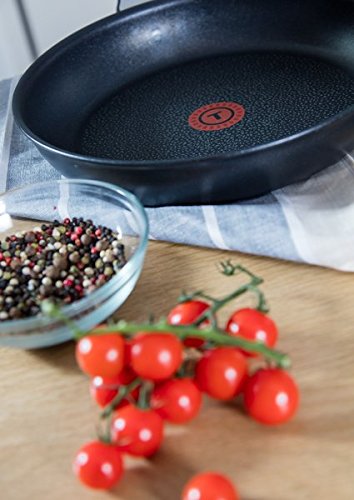 Tefal Expertise - Sartén de aluminio de 21 cm, antiadherente con extra de titanio, aptas para todo tipo de cocinas incluido inducción