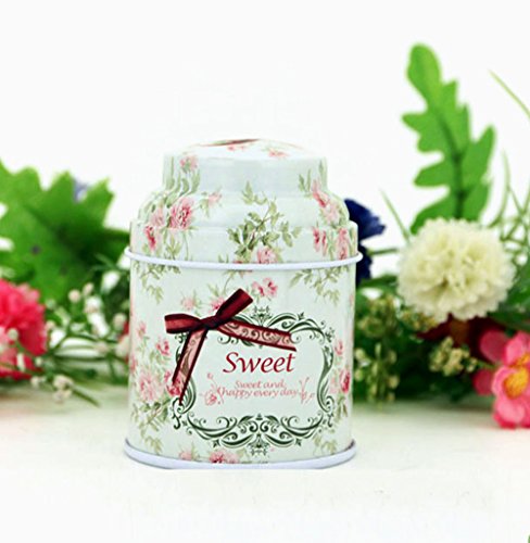 TooGet Elegantes Latas Vacías, Shabby Chic Mini-Cajas para Velas DIY, Almacenamiento en Seco, Especias, Té, Dulces, Regalos para Fiestas, Y Regalos - Color Al Azar - 6PCS